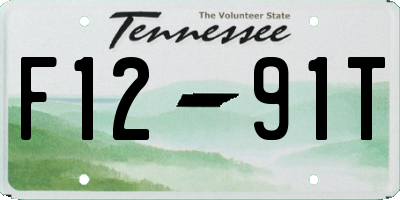 TN license plate F1291T