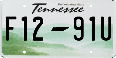 TN license plate F1291U