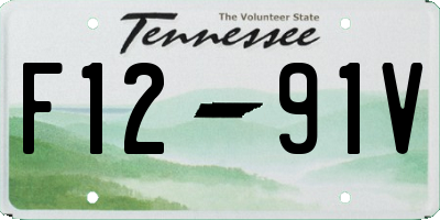 TN license plate F1291V