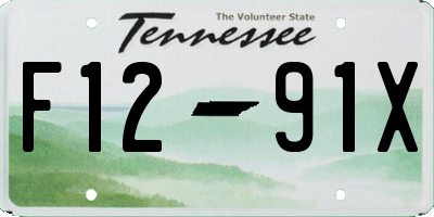 TN license plate F1291X