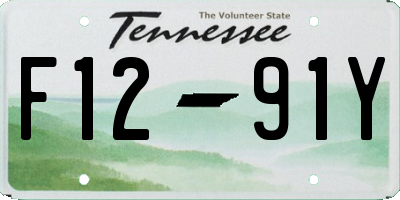 TN license plate F1291Y