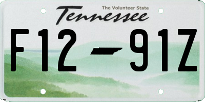 TN license plate F1291Z