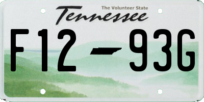 TN license plate F1293G