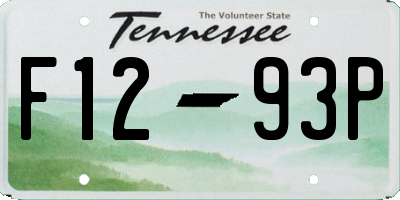 TN license plate F1293P