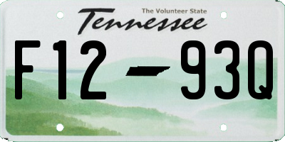 TN license plate F1293Q