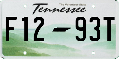 TN license plate F1293T