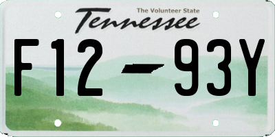 TN license plate F1293Y