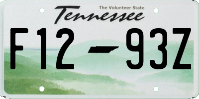 TN license plate F1293Z