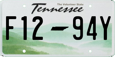 TN license plate F1294Y