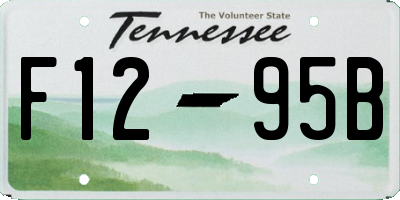 TN license plate F1295B