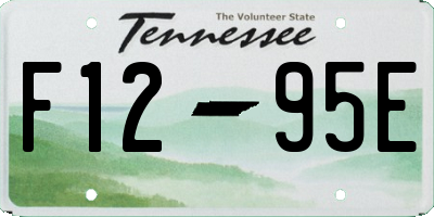 TN license plate F1295E