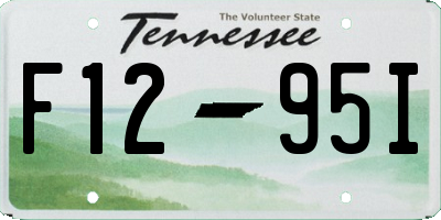 TN license plate F1295I