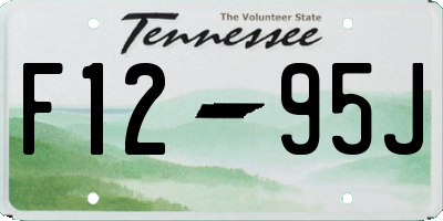TN license plate F1295J