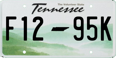 TN license plate F1295K