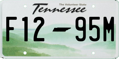 TN license plate F1295M