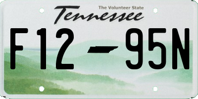 TN license plate F1295N