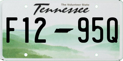 TN license plate F1295Q
