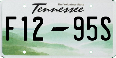 TN license plate F1295S