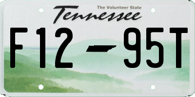 TN license plate F1295T