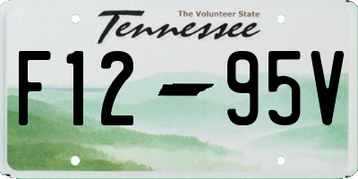 TN license plate F1295V