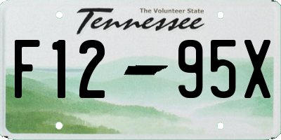 TN license plate F1295X