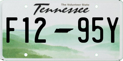 TN license plate F1295Y