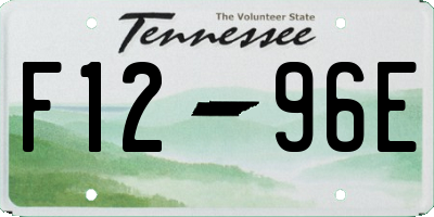 TN license plate F1296E