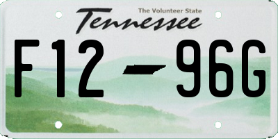 TN license plate F1296G