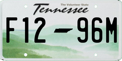 TN license plate F1296M