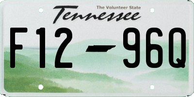 TN license plate F1296Q