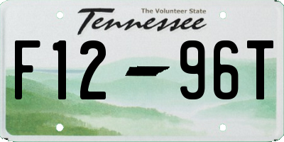 TN license plate F1296T