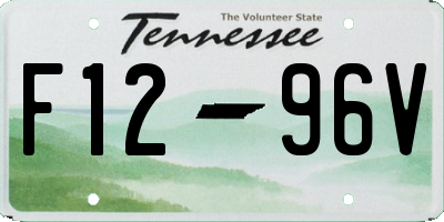 TN license plate F1296V