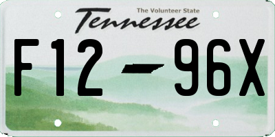 TN license plate F1296X