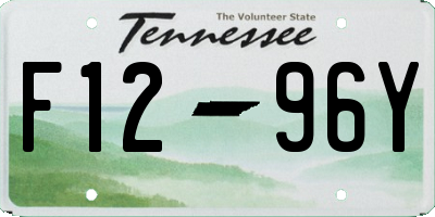 TN license plate F1296Y