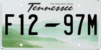 TN license plate F1297M