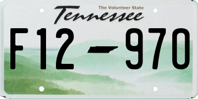 TN license plate F1297O