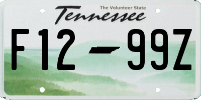 TN license plate F1299Z