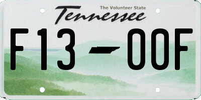 TN license plate F1300F