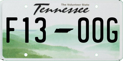 TN license plate F1300G