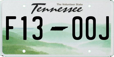 TN license plate F1300J