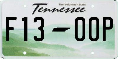 TN license plate F1300P
