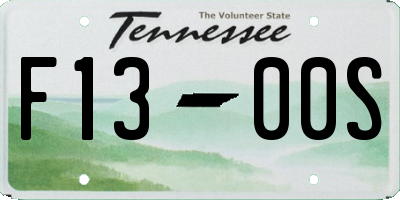 TN license plate F1300S