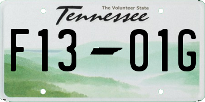 TN license plate F1301G