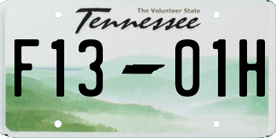 TN license plate F1301H