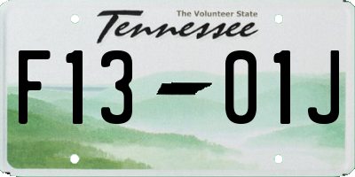 TN license plate F1301J