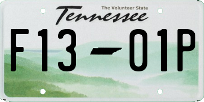 TN license plate F1301P