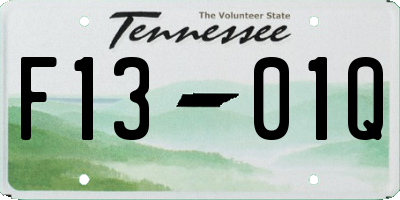 TN license plate F1301Q
