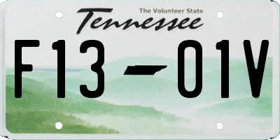 TN license plate F1301V
