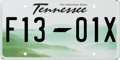 TN license plate F1301X
