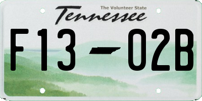 TN license plate F1302B